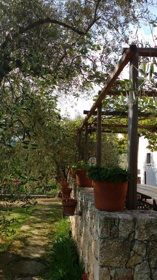 La Vie Est Belle Bed and Breakfast Finale Ligure Εξωτερικό φωτογραφία