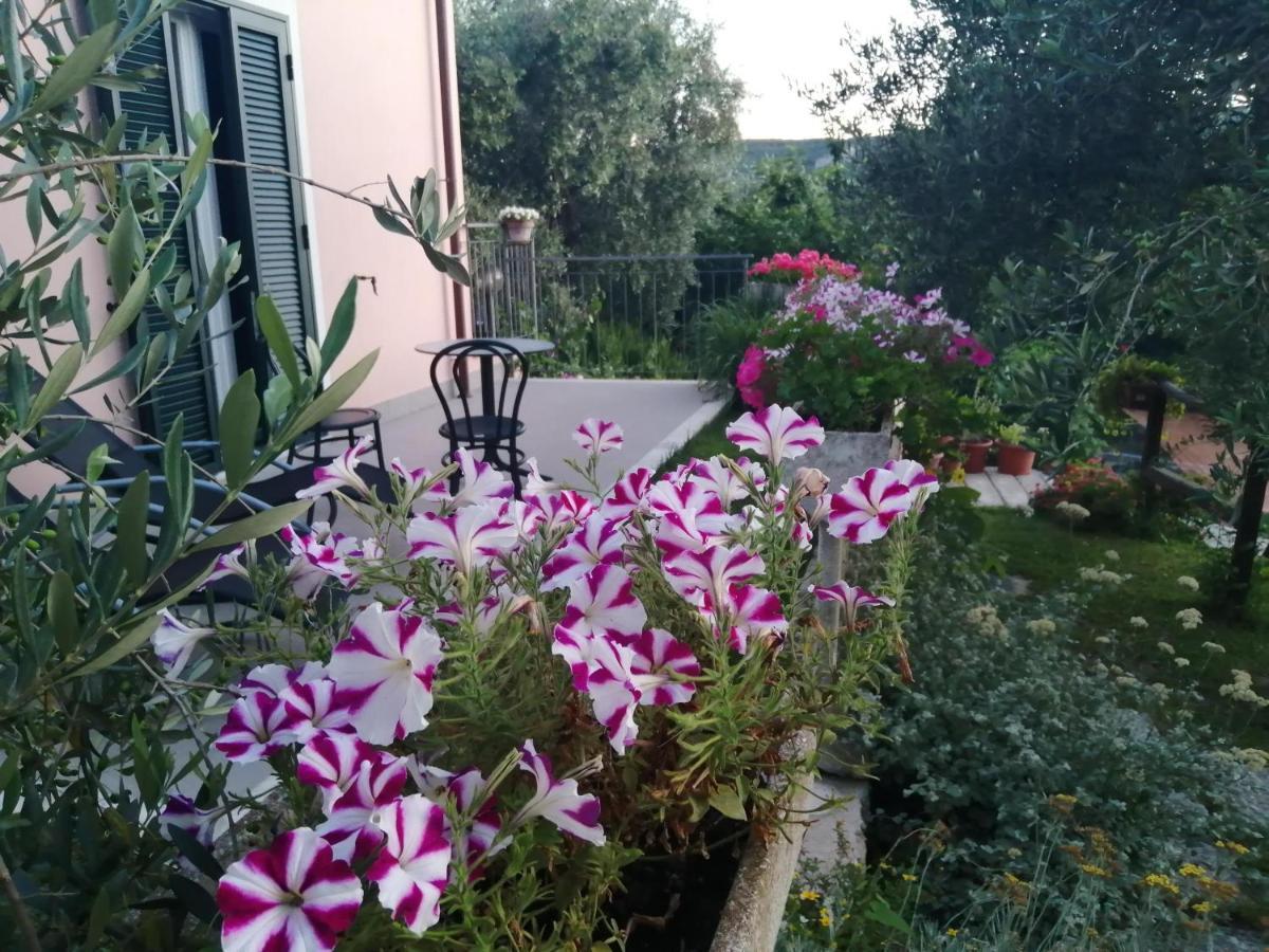 La Vie Est Belle Bed and Breakfast Finale Ligure Εξωτερικό φωτογραφία